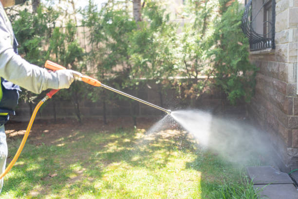 Reliable Powell, OH Pest Control Solutions